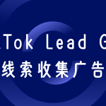 TikTok线索收集广告（TikTok Lead Gen）创编及设计介绍